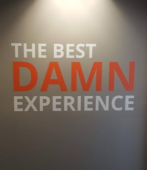 the best damn experience