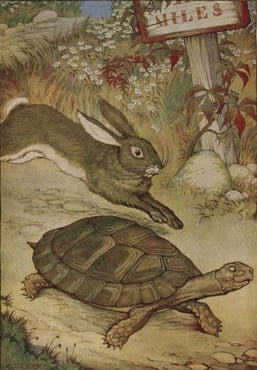 tortoise and the hare, winner in small business marketing